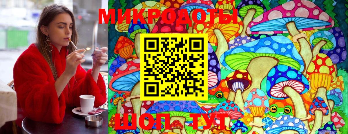 Шебекино  закладка  Псилоцибиновые грибы прущие грибы  Вход с VPN  Галлюциногенные грибы Magic Shrooms 