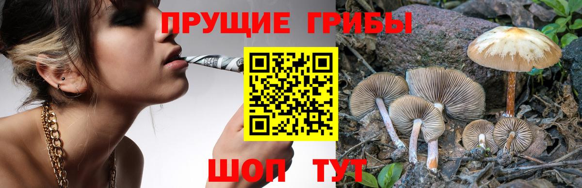 Псилоцибиновые грибы мухоморы Шебекино